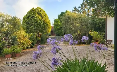 Giardino di La Celeste a Montegaldella -VI - Italia