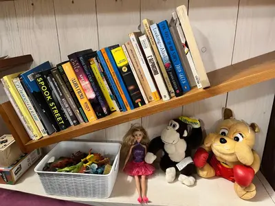 Biblioteca nell'appartamento