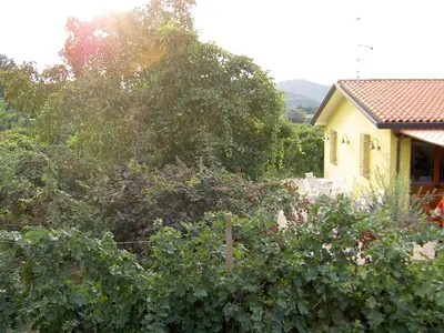 Paesaggio naturale nelle vicinanze dell'agriturismo