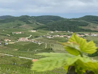 Planimetria di Modern Farmhouse in Pagnano Italy near Forest