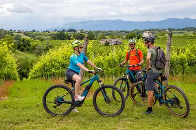 Attività di ciclismo presso l'agriturismo o nelle vicinanze