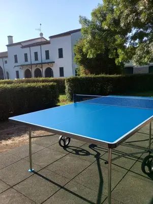 Attrezzature per ping pong presso Villa Gaudio o nelle vicinanze