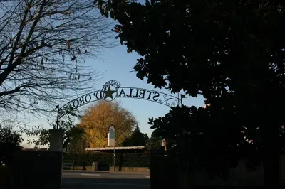Planimetria di Locanda Stella D'oro