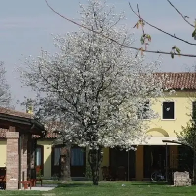 Particolari del Brenta