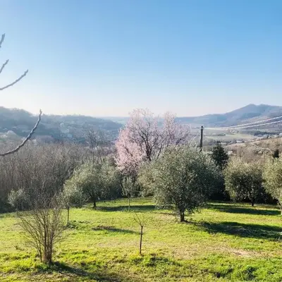 Tavern di Arqua'