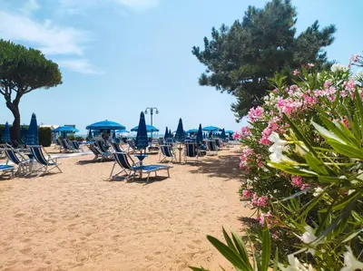 Spiaggia vicina o nei dintorni dell'appartamento