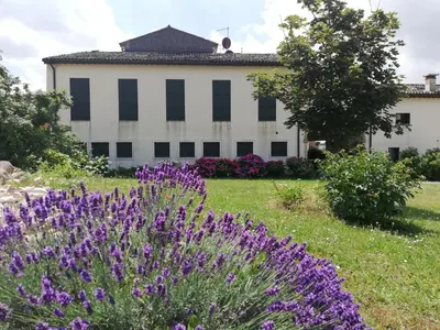 Giardino di Corte Monticello