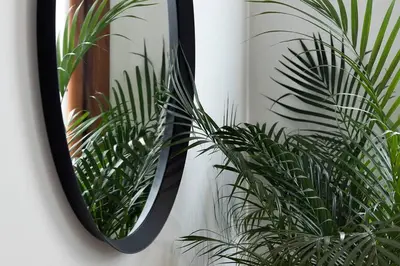 Planimetria di Trevisohome FUORI MURA
