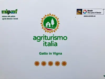 Certificato, attestato, insegna o altro documento esposto da GATTO IN VIGNA