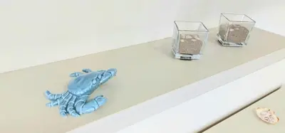 Planimetria di Appartamento Palazzo Moretto