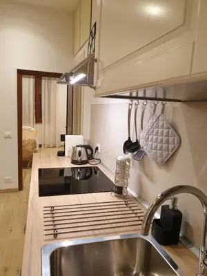Cucina o angolo cottura di Ca' Dea Sarta Venice Apartment