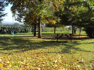 Paesaggio naturale nelle vicinanze dell'agriturismo