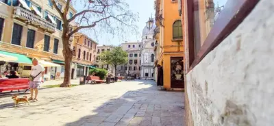 Il quartiere o una zona nella vicinanze dell'appartamento