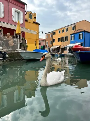 Paesaggio naturale nelle vicinanze dell'appartamento