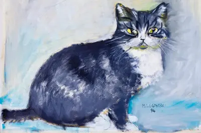 Ospiti di Locazioni Turistiche By Max con animali domestici