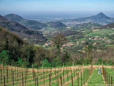 Vista generica sulle montagne o vista sulle montagne dall'interno dell'hotel