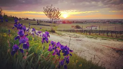 Paesaggio naturale nelle vicinanze del bed & breakfast
