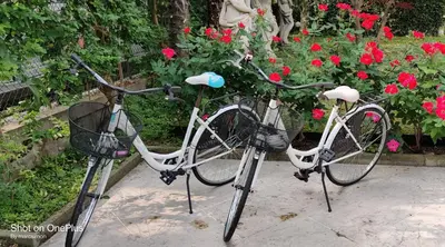 Attività di ciclismo presso l'hotel o nelle vicinanze