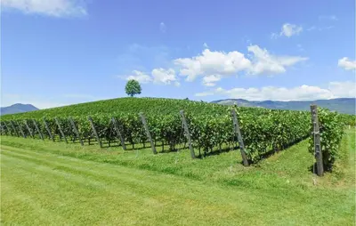 Paesaggio naturale nelle vicinanze della casa vacanze