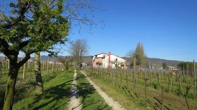 Paesaggio naturale nelle vicinanze dell'agriturismo
