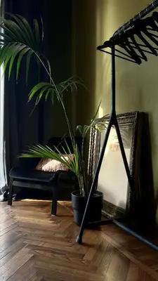 Planimetria di Casa del Bagatto