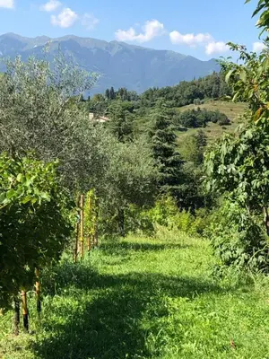 Paesaggio naturale nelle vicinanze dell'appartamento