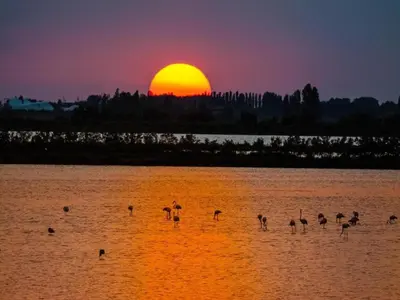 Planimetria di Peaceful Coastal Stay, Rosolina