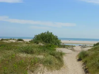 Planimetria di Peaceful Coastal Stay, Rosolina