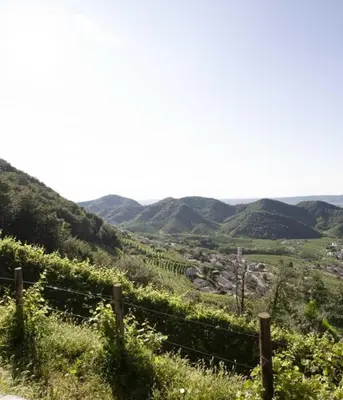 Paesaggio naturale nelle vicinanze dell'appartamento