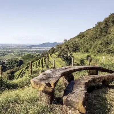 Bellavista