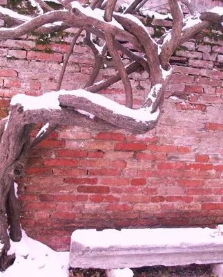 Relais Alcova del Doge durante l'inverno