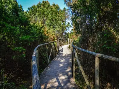 Paesaggio naturale nelle vicinanze dell'appartamento