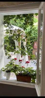Giardino di Hotel Apostoli Garden