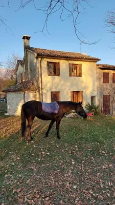 Ospiti di La Caneveta al Piave con animali domestici