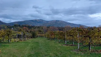 Paesaggio naturale nelle vicinanze della casa vacanze