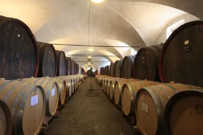 Planimetria di Agriturismo Dominio di Bagnoli
