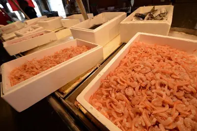 Cibo presso l'appartamento o nelle vicinanze