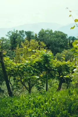 Paesaggio naturale nelle vicinanze dell'agriturismo