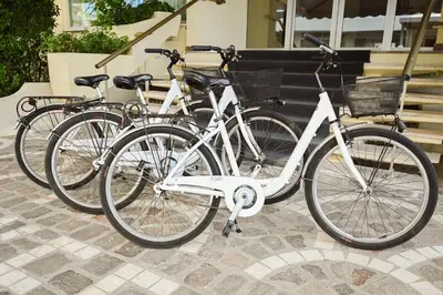 Attività di ciclismo presso l'hotel o nelle vicinanze
