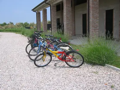 Attività di ciclismo presso l'agriturismo o nelle vicinanze