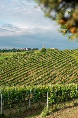 Paesaggio naturale nelle vicinanze dell'hotel
