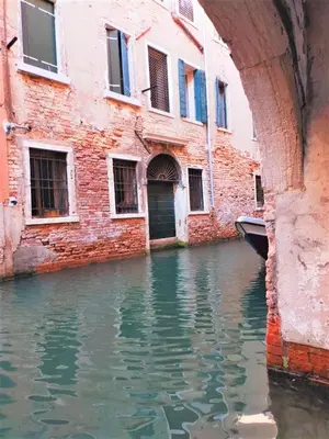 Vista sul fiume nelle vicinanze dell'appartamento