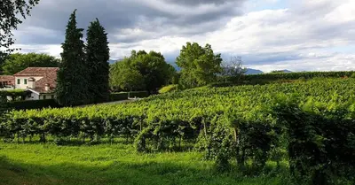 Paesaggio naturale nelle vicinanze dell'agriturismo