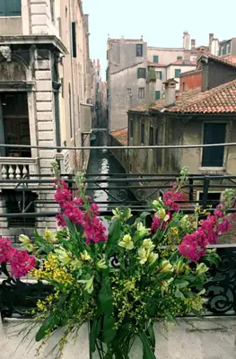 Balcone o terrazza di Casa Pisani Canal