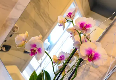 Bagno di Hotel Ristorante Fortuna