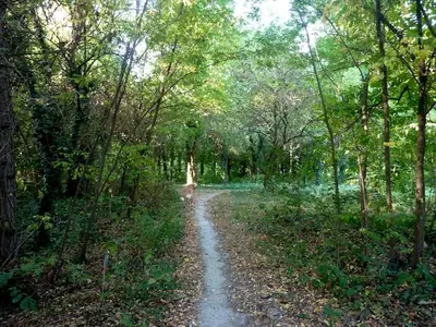 Paesaggio naturale nelle vicinanze del bed & breakfast