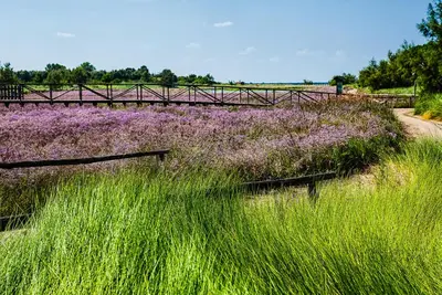 Paesaggio naturale nelle vicinanze dell'appartamento