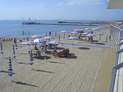 Spiaggia vicina o nei dintorni dell'hotel
