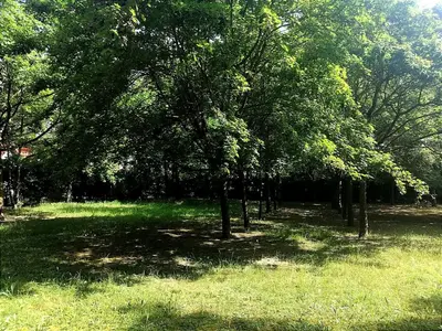 Giardino di Orizzonte Marino Giallo Angolo solare verso la laguna