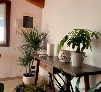 TV o dispositivi per l'intrattenimento presso Casa Ester